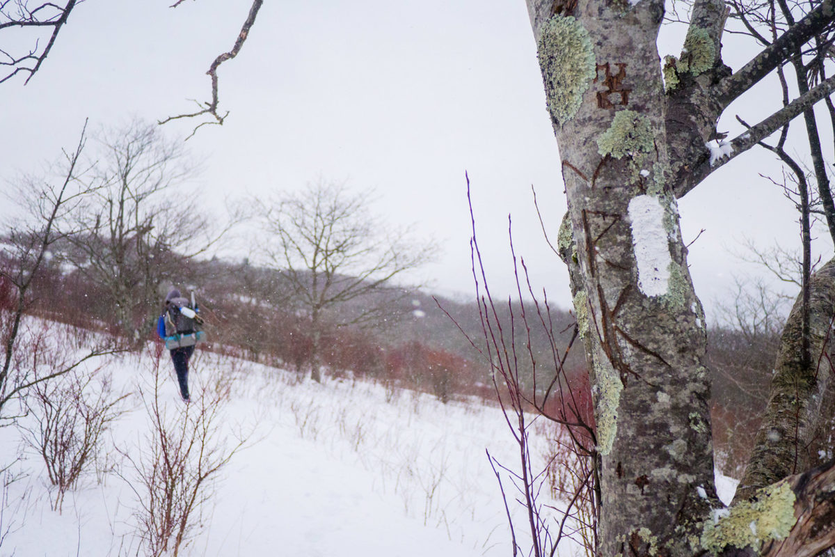 atc_rp18404_mt-rogers-snow_lukas-chin-lpr atc_rp18404_mt-rogers-snow_lukas-chin-lpr
