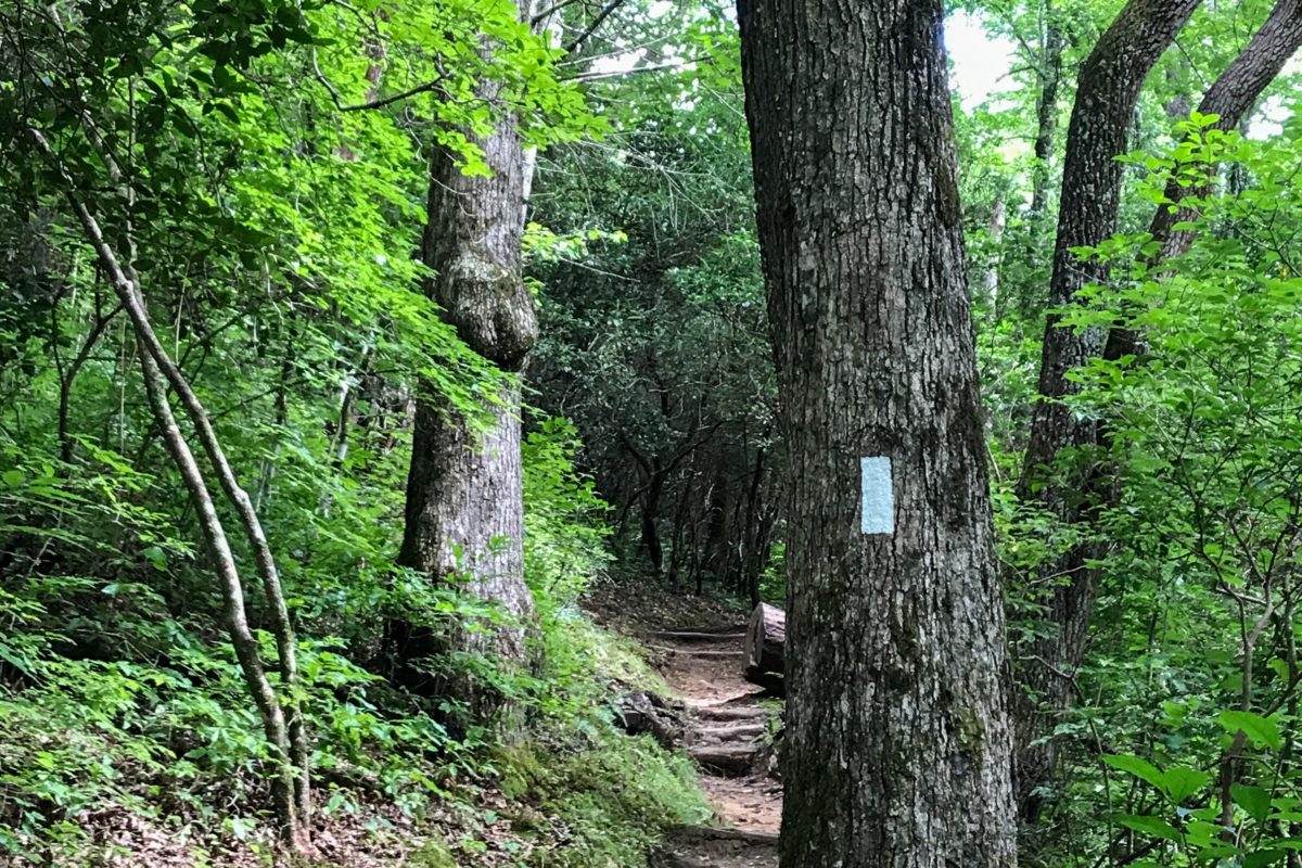 Hydro Flask Launches Limited Edition Scenic Trails Bottles - Pacific Crest  Trail Association