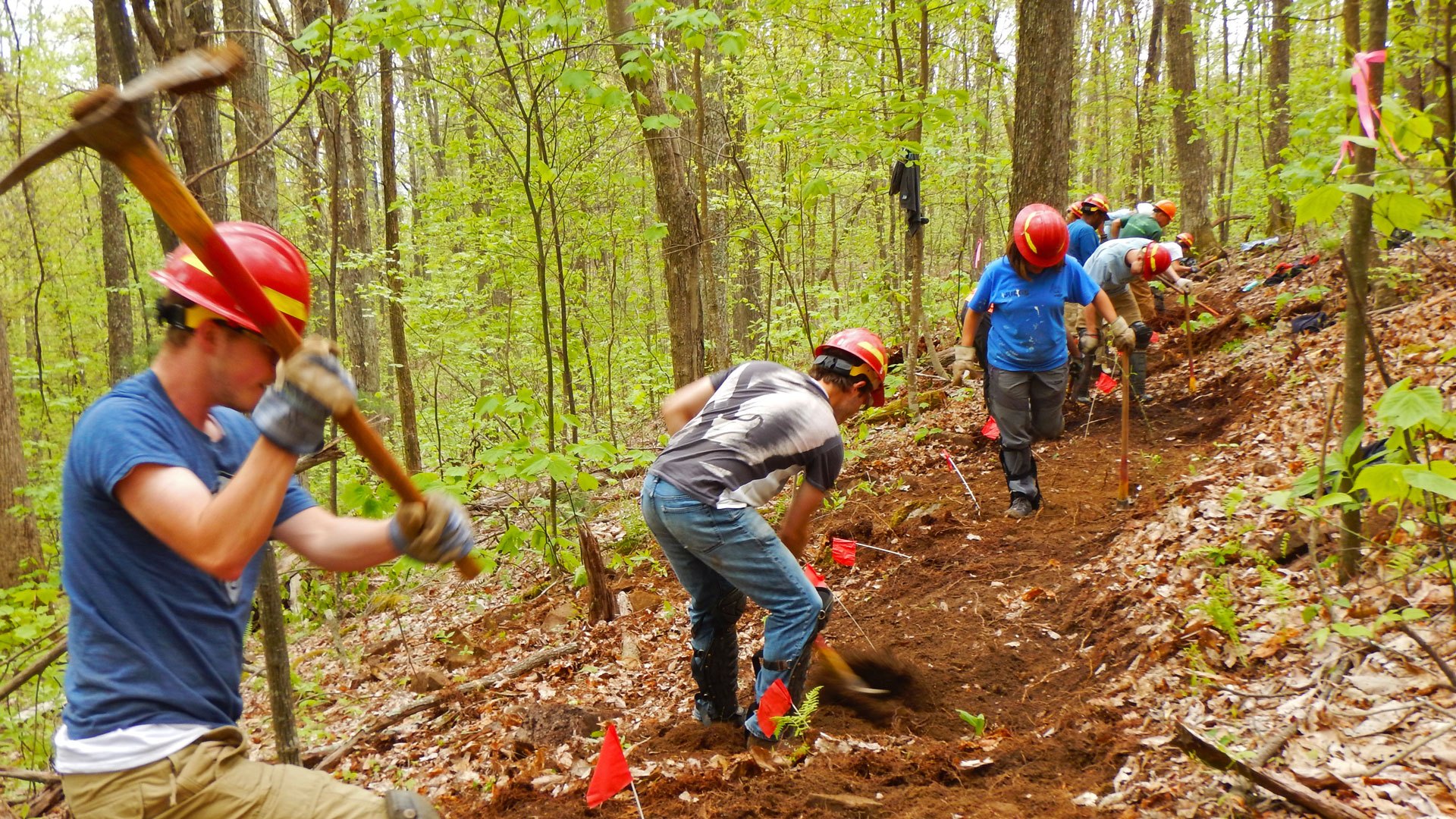 Volunteers: In Their Words | Appalachian Trail Conservancy