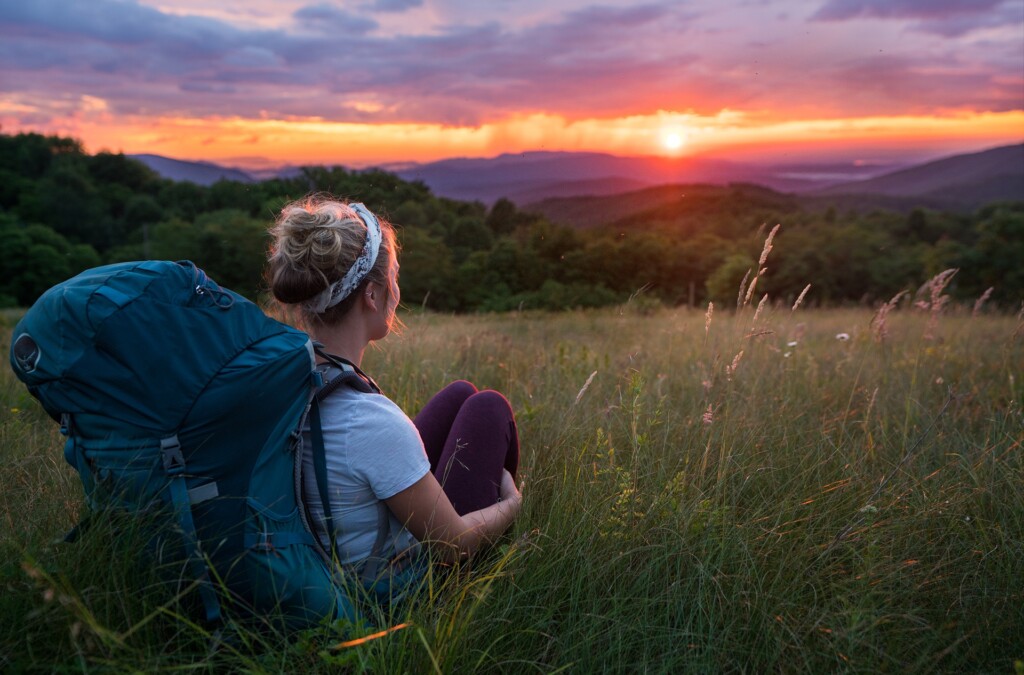 The Rewilding of Max Patch - Appalachian Trail Conservancy
