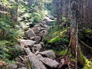 Climbing Mount Garfield in the White Mountains National Forest, New Hampshire - Photo by Jordan Bowman