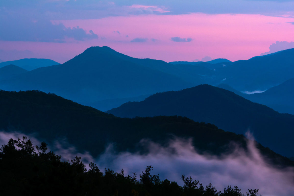 purplemountains purplemountains