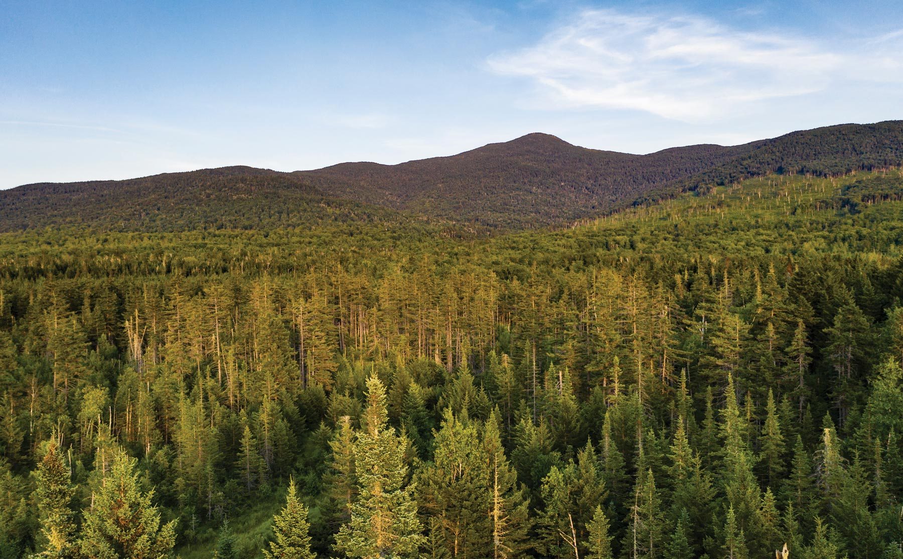 The Grafton Forest Wilderness Preserve in Maine’s Mahoosuc Range — where 21,300 acres of the T.T. landscape are now protected. Photo by Jerry Monkman, ecophotography.com