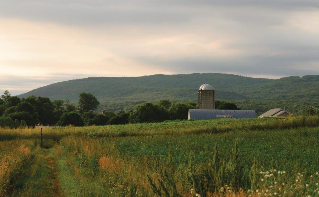 The A.T. footpath runs alongside working farmland in the Central Pennsylvania Valley. Photo by Linda Norman