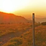 An Appalachian Trail white blaze guides hikers over a southern Appalachian bald.