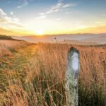 White Blaze on a post in a Field