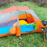 Tent Sleeping System with Pup