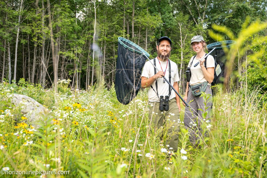 Two ATC staff members hold butterfly nets in a meadow