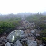 Foggy trail with a white blaze painted on rock