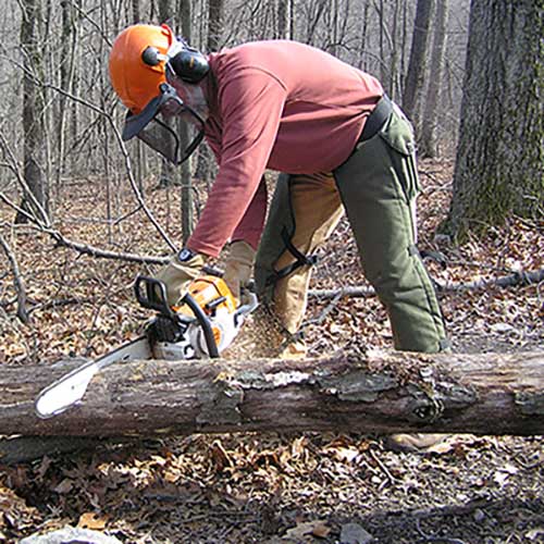 sawweb3 sawweb3
