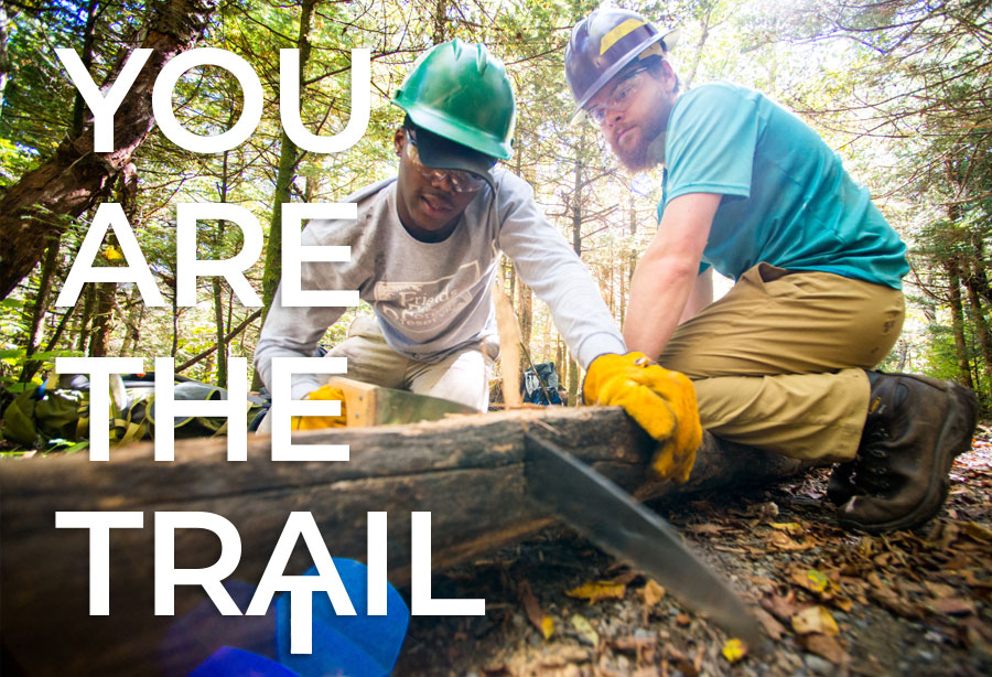 Volunteers saw downed tree with the text, you are the trail, overlaid on image
