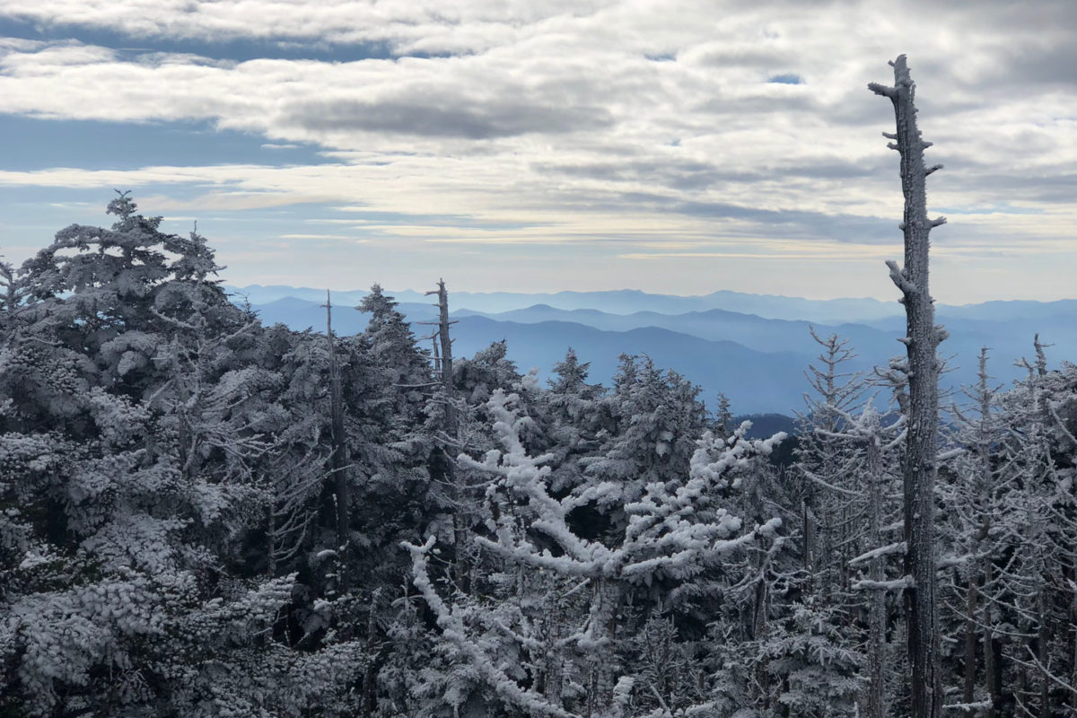 wintery-at-by-allison-diverde wintery-at-by-allison-diverde