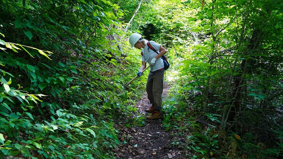 Trail volunteer stands centered on a dirt path as she clears vegetation with a hand-held tool.