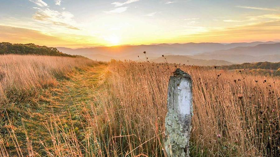 A post painted with a white A.T. blaze stands out among golden grasses along the Trail.