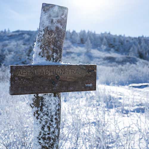 winter-email winter-email