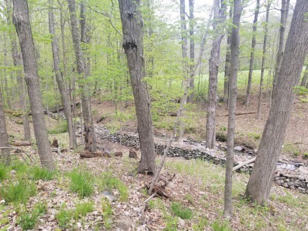 The goal of the A.T. Corridor Easement Acquisition project is to acquire a permanent conservation easement to protect a 71-acre parcel in the Town of Beekman, located in southern Dutchess County, New York. The Appalachian Trail runs east to west just 2,000 feet south of the property’s southern boundary. Photo Courtesy of Dutchess Land Conservancy