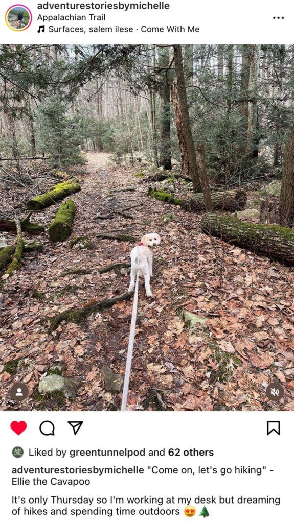 @adventurestoriesbymichelle looks forward to an A.T. hike with a four-footed friend