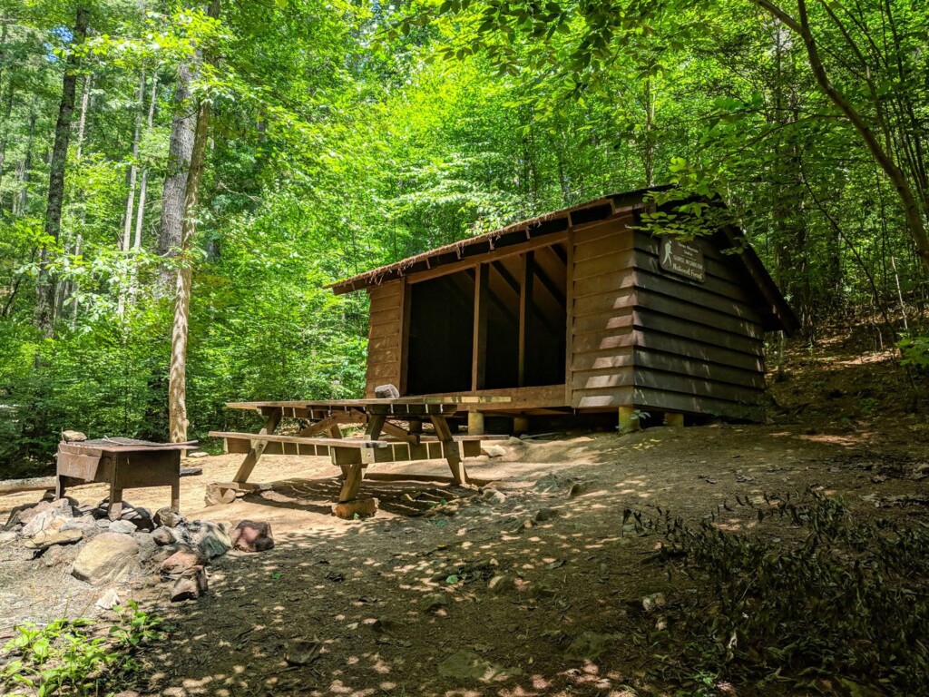 The Community of Formerly Enslaved People at Brown Mountain Creek