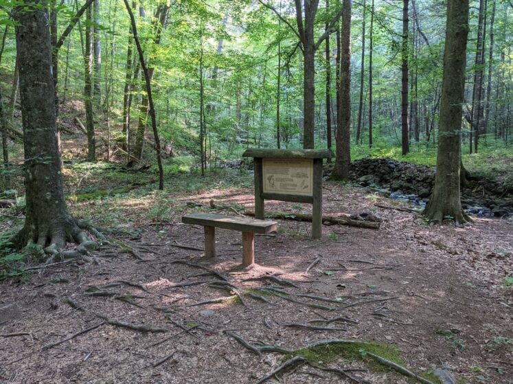 Educational displays inform visitors about the history and significance of the Brown Mountain Creek Community. Photo by Mills Kelly
