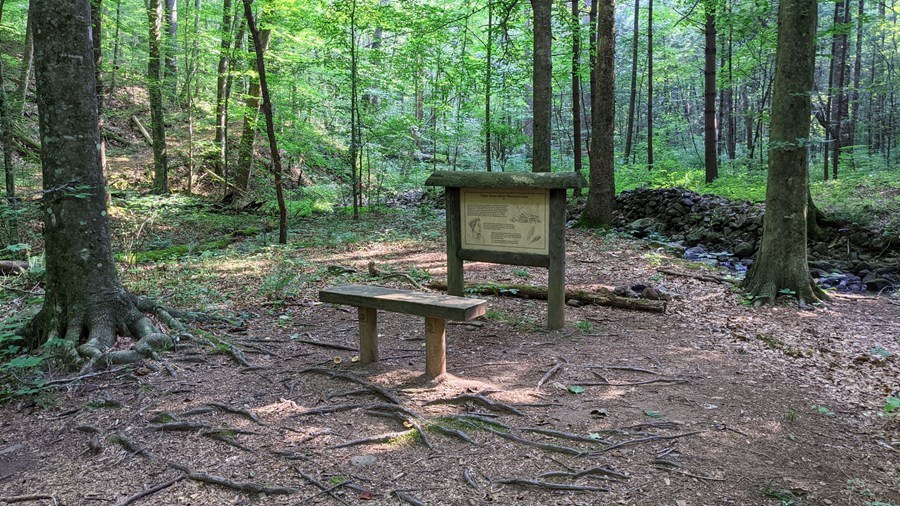 Black History Month: The Formerly Enslaved People's Community at Brown Mountain Creek