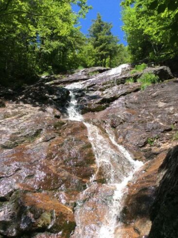 Society for the Protection of New Hampshire Forests (the Forest Society) received a 2022 WEAF award that will conserve over a thousand acres in New Hampshire that borders the Appalachian Trail corridor. Photo by Brian Hotz
