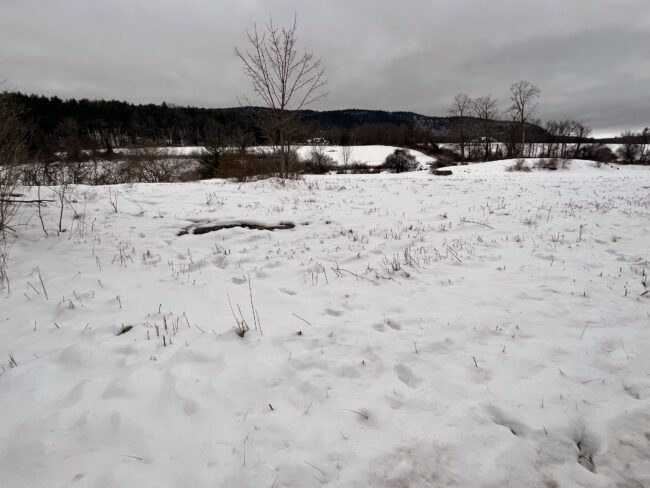 Sheffield Lant Trust (SLT)’s WEAF land protection award will help permanently conserve four properties totaling over 100 acres of forest and fields essential to the ecological resiliency, agricultural health, and rural character of the A.T. Landscape in Northwest Sheffield and Southeast Egremont. Photo by Kathy Orlando