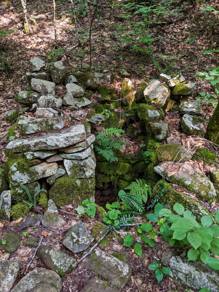 Rock Foundations mark the previous locations of homes, barns, and other buildings at the Brown Mountain Creek community. Photo by Mills Kelly