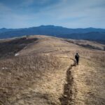 Roan Highlands - Hump Mountain Descent. Photo by Patrick Hare @HappyCampHares