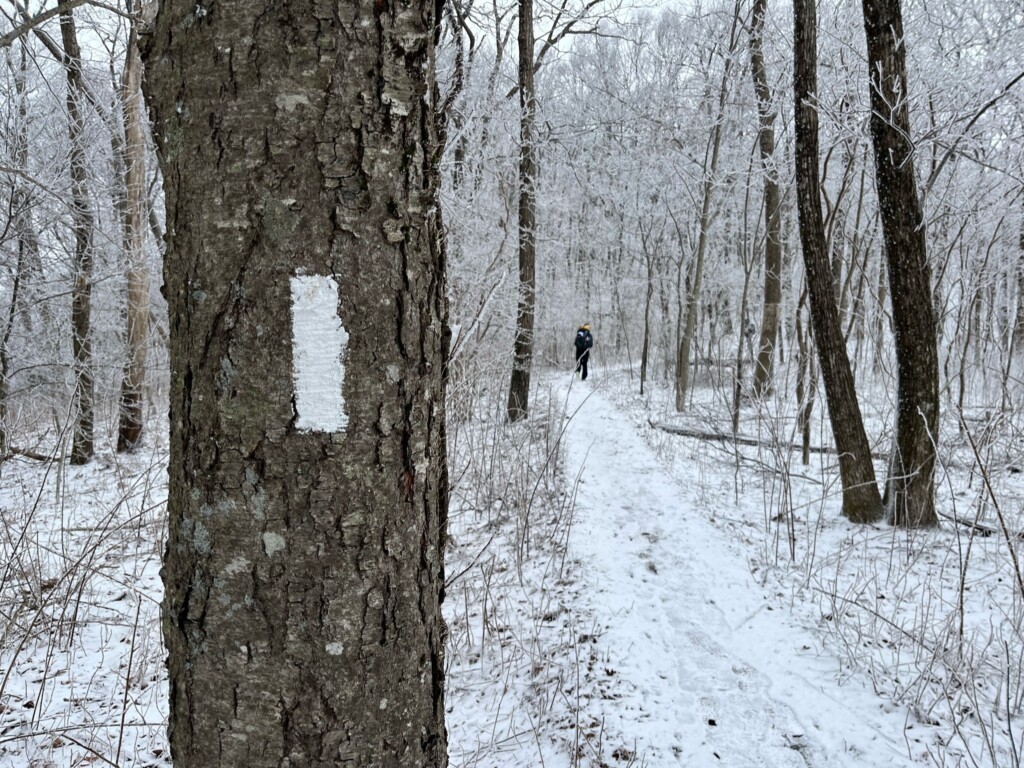 016399a9bc84d82bdfc3365c65e6a0f9af032dbae1-8d4ec73a4e924773129fb9f6df57851e