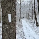 The snowy Georgia path on its way north. Photo by the Corbet Family ("Spreadsheets", "Cautious K", "Bananas", "Goldfish") @ourownflow