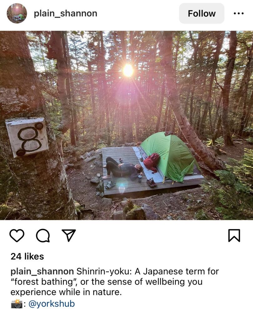 @plain_shannon shares a serene moment bathing in the beauty of the forest