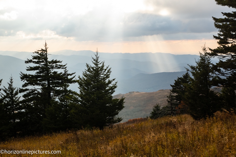 Saving Southern Appalachian Brook Trout — Landscape Partnership