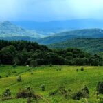 Green rolling foothills in Virginia by Robert Campbell