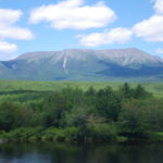 View of mountain in distance with green shrubs in foreground