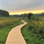Boardwalk through a green landscape with sun setting in the distance