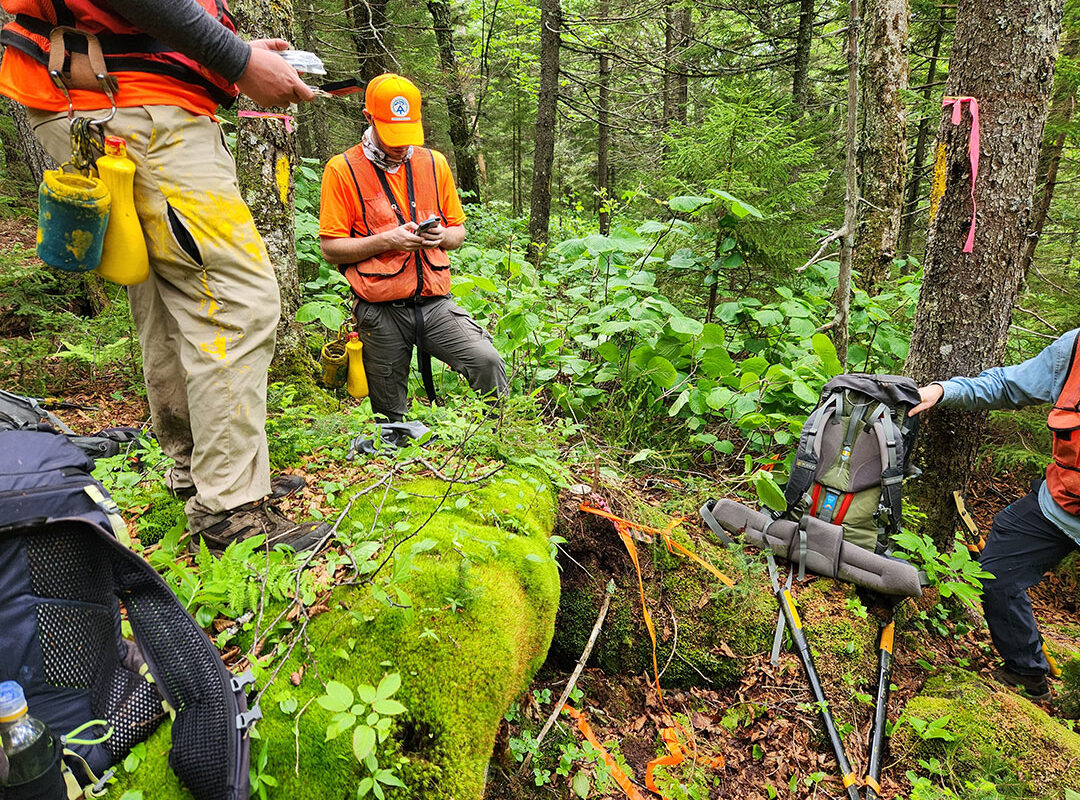 Science and Stewardship | Appalachian Trail Conservancy