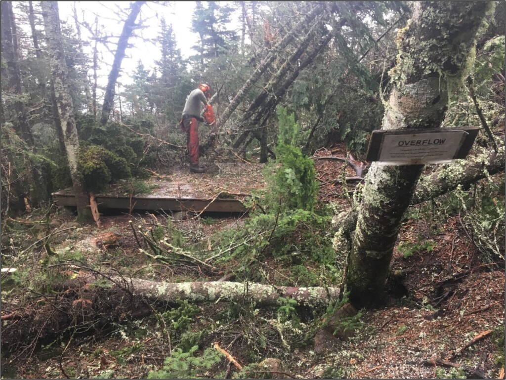 Nauman Campsite NH - Oct 2017