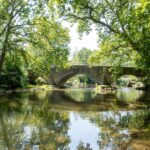 Arched stone bridge over stream surrounded by trees
