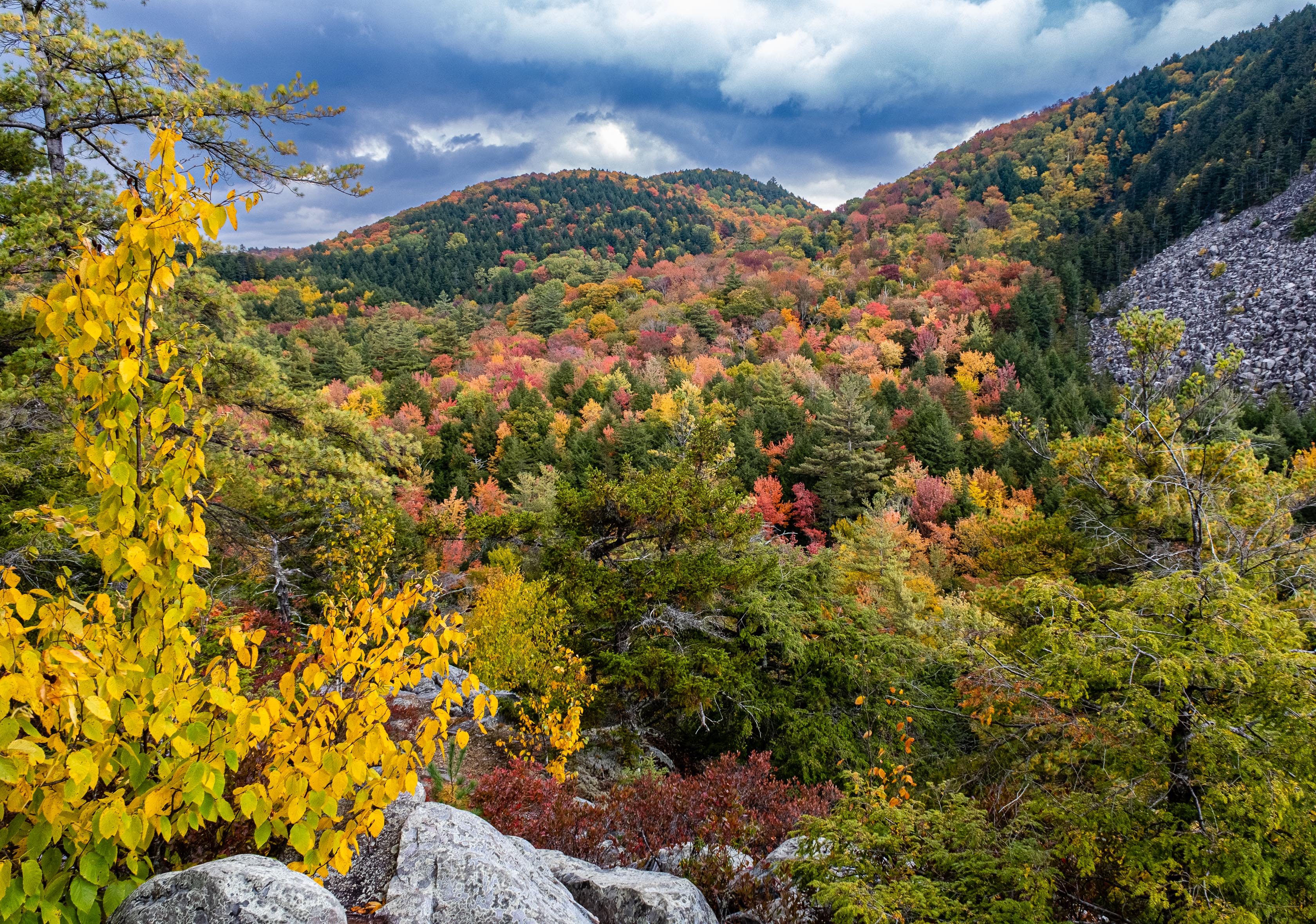 Appalachian State Calendar 24-25 