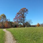 Gravel trail through flat, open meadow with green grass and sparse trees