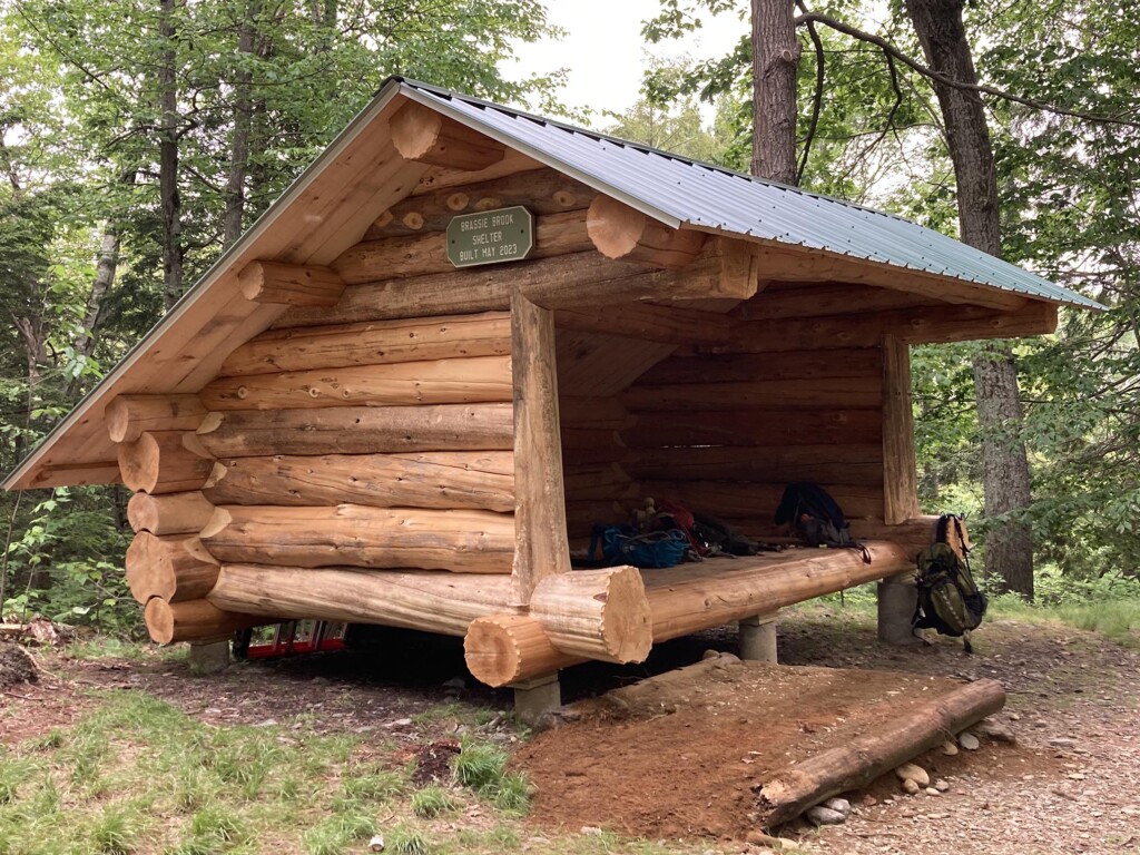 Brassie-Brook2023-Rich-Cady