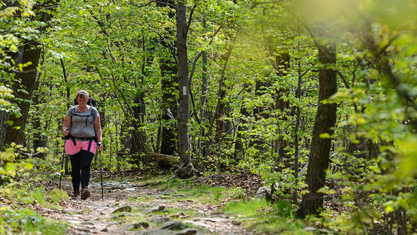 Land Protection And Community Support In Virginia And West Virginia ...