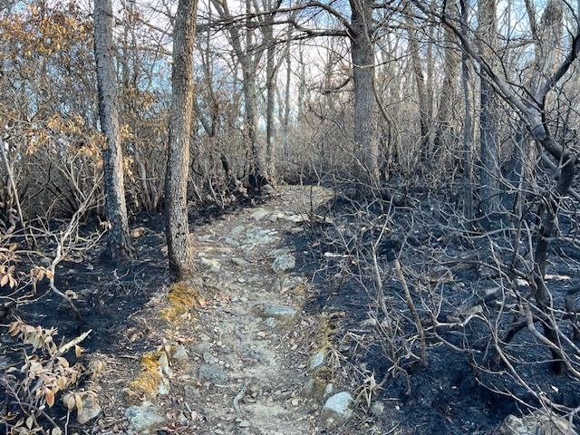 charred-trail-wally-blair-matts-creek-fire-2023