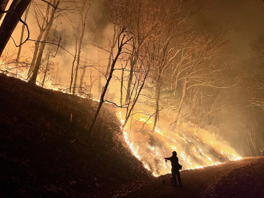 Matts Creek Fire, USFS