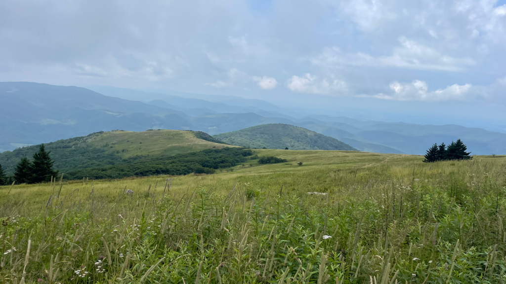 Photo of the G1 Grassy bald along the A.T. on Whitetop Mountain in Virginia