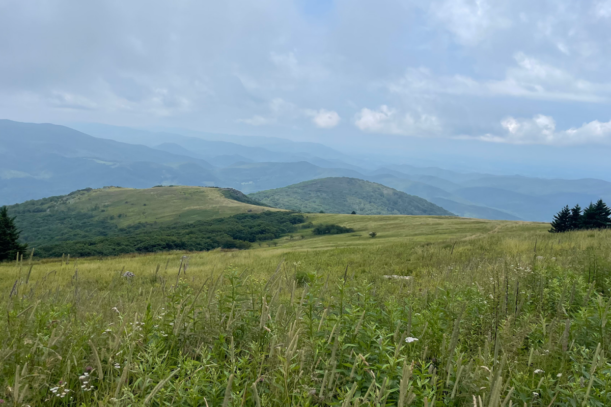 Official Blog | Appalachian Trail Conservancy