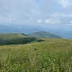 Photo of the G1 Grassy bald along the A.T. on Whitetop Mountain in Virginia