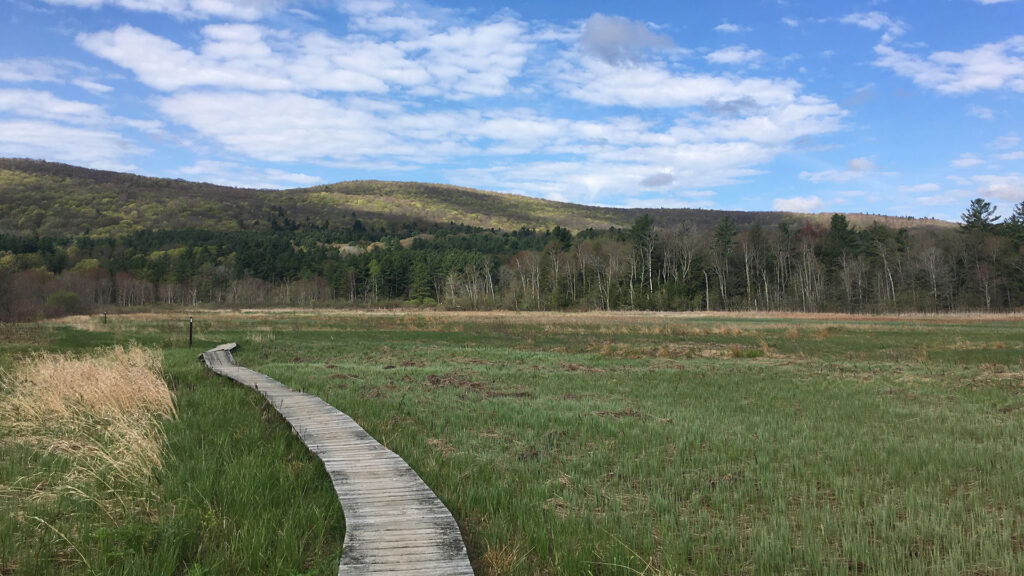 Photo of a meadow with an A.T. boardwalk running through it. 