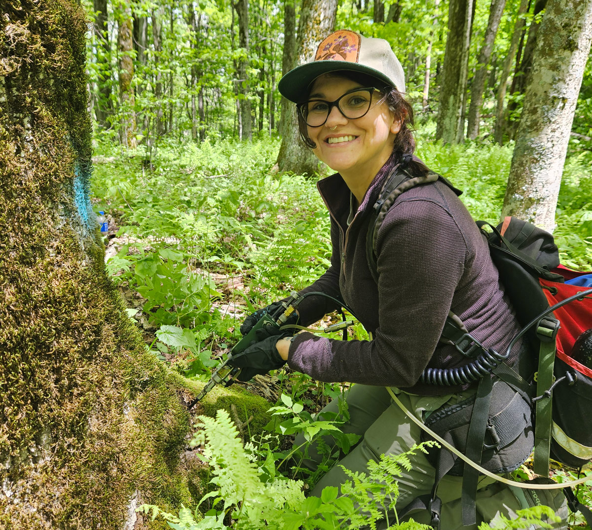 An ATC supporter protecting the Trail from the damaging effects of non-native invasive species