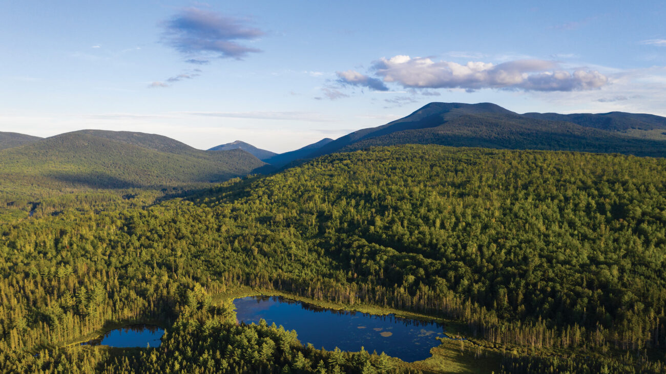 A Catalyst for Conservation - Appalachian Trail Conservancy